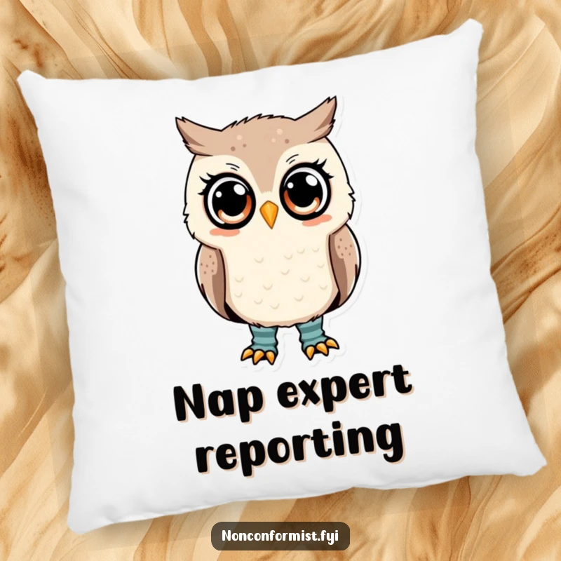 Funny owl pillow showing a cute owl with mismatched socks, a questioning expression, soft decor.