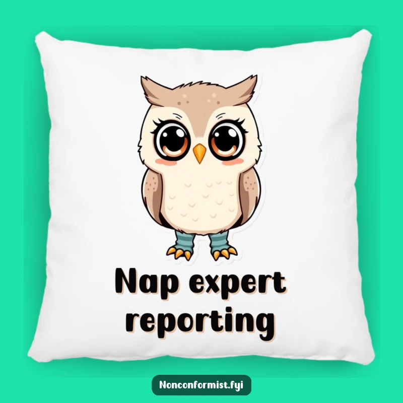 Funny Owl Mismatched Socks Pillow: Cushy Comfort and Comical Style!